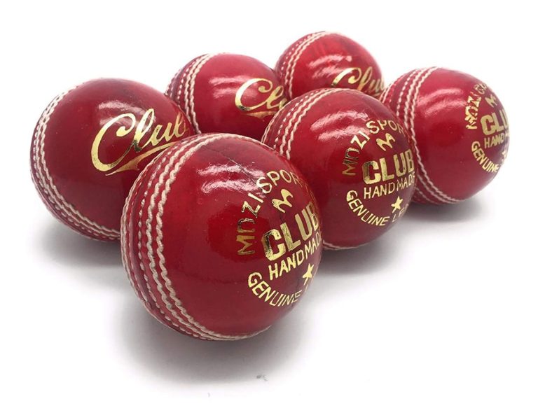 Cricket club in England introduces Vegan Ball