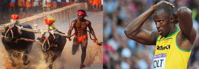Did this buffalo racer from Karnataka just beat Usain Bolt’s world record for a 100m sprint?