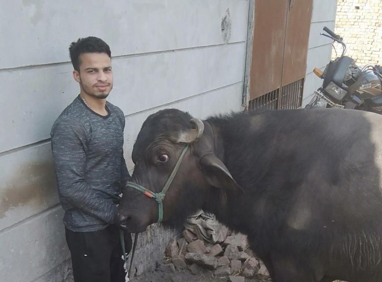 Pro Panja League 2020: Parmeet Singh: ‘ I trash talk to get to my opponents mentally and beat them!’