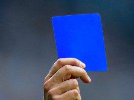 Blue Card